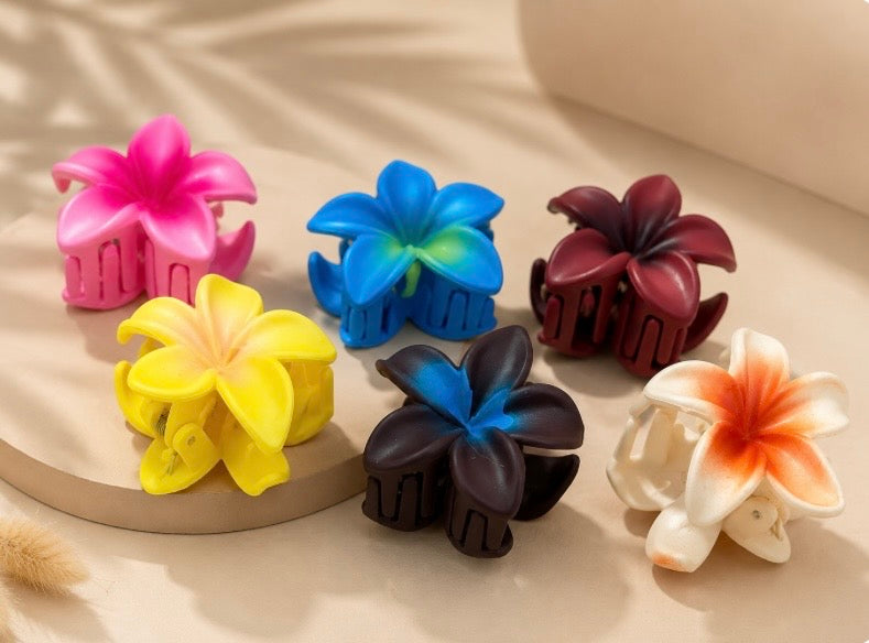 Accessoires pour cheveux